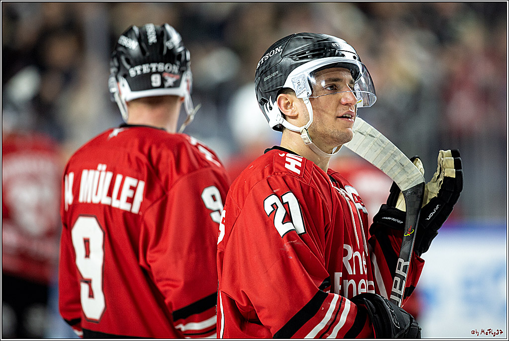DEL;  Koelner Haie - Grizzlys Wolfsburg; Koeln, 25.02.2020